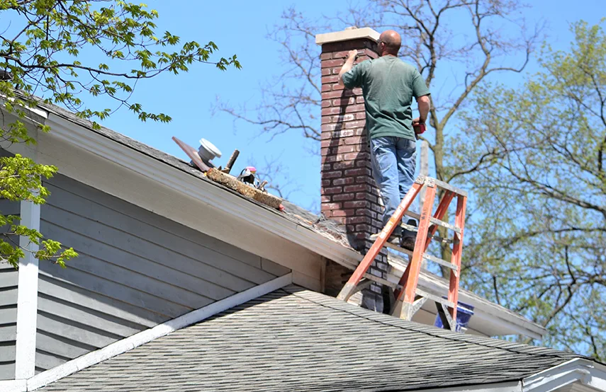 Chimney & Fireplace Inspections Services in Deer Park, NY